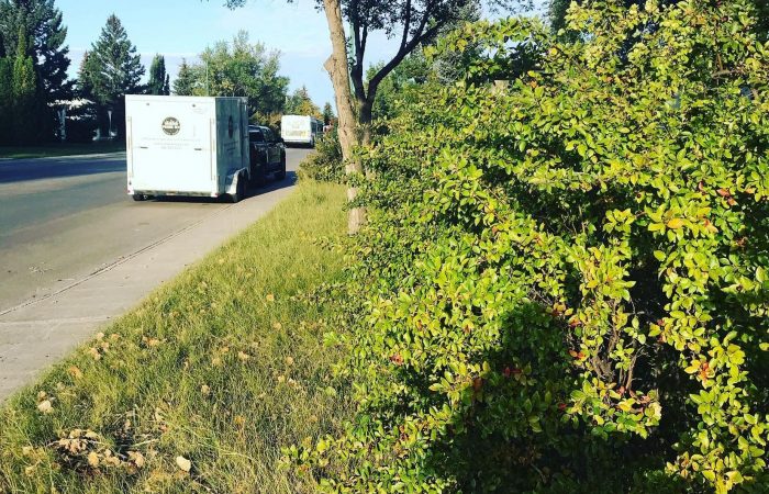 Prairie Sky Lawn Care logo