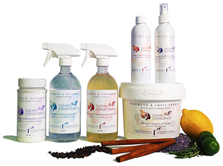 The Cleaning Co-operative logo