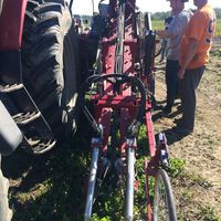 Sunfresh Farms Ltd logo