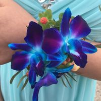 Spruce Grove Flowers & Gifts logo