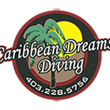 Caribbean Dreams Diving logo