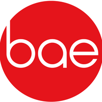 Bae Food Group Ltd logo