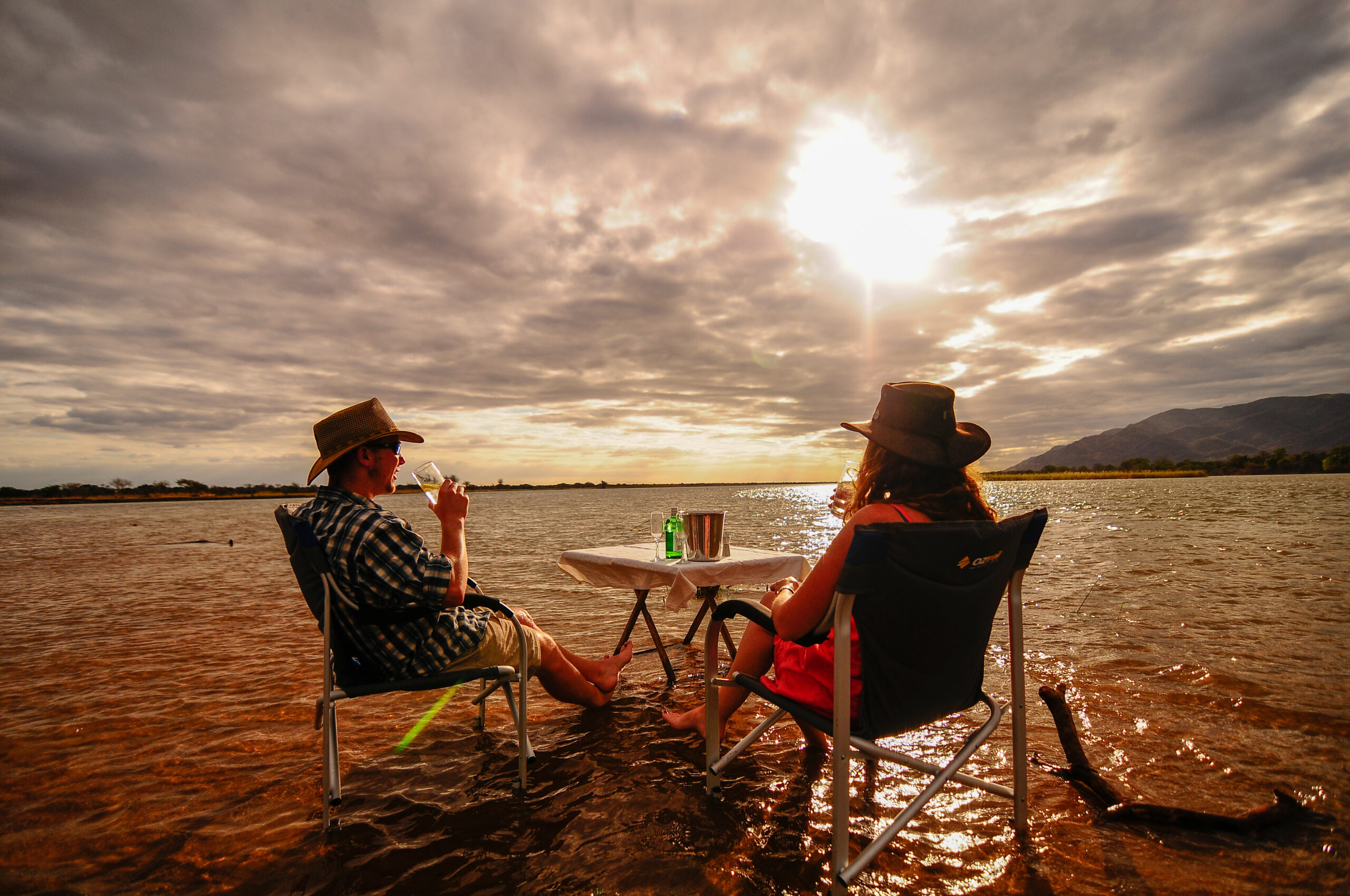 Authentic Africa Tours & Safaris (Formerly Lion Dog African Safaris) logo