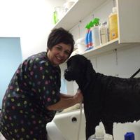 Fern's Dog Grooming logo