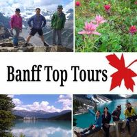 Banff Top Tours logo