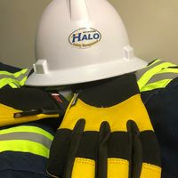 Halo Safety Management logo