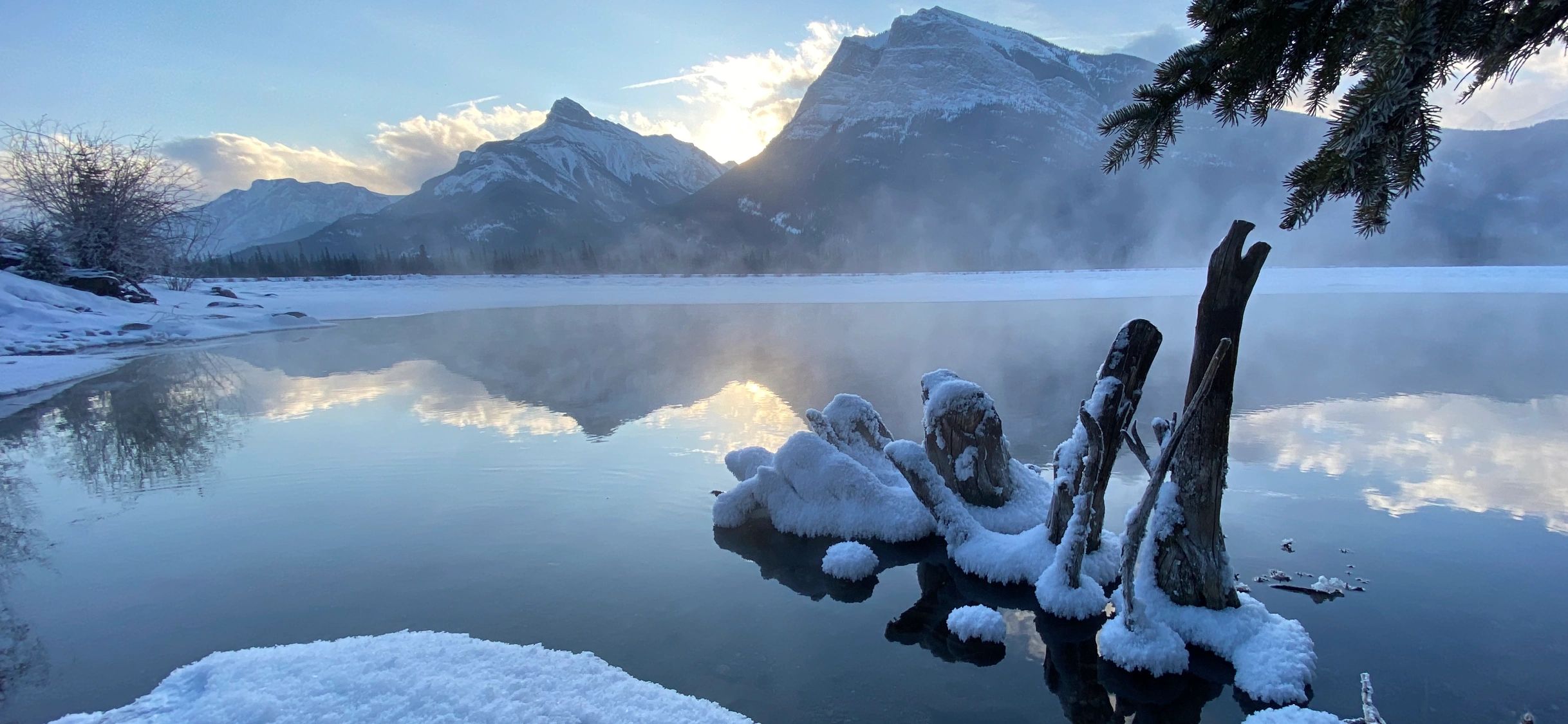 The Granola Bar logo