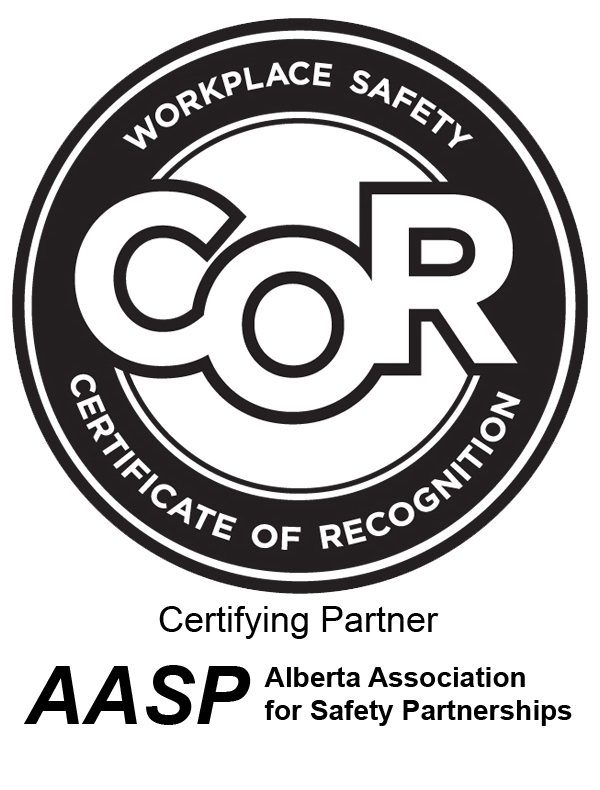 Intrepid Surveys Ltd logo