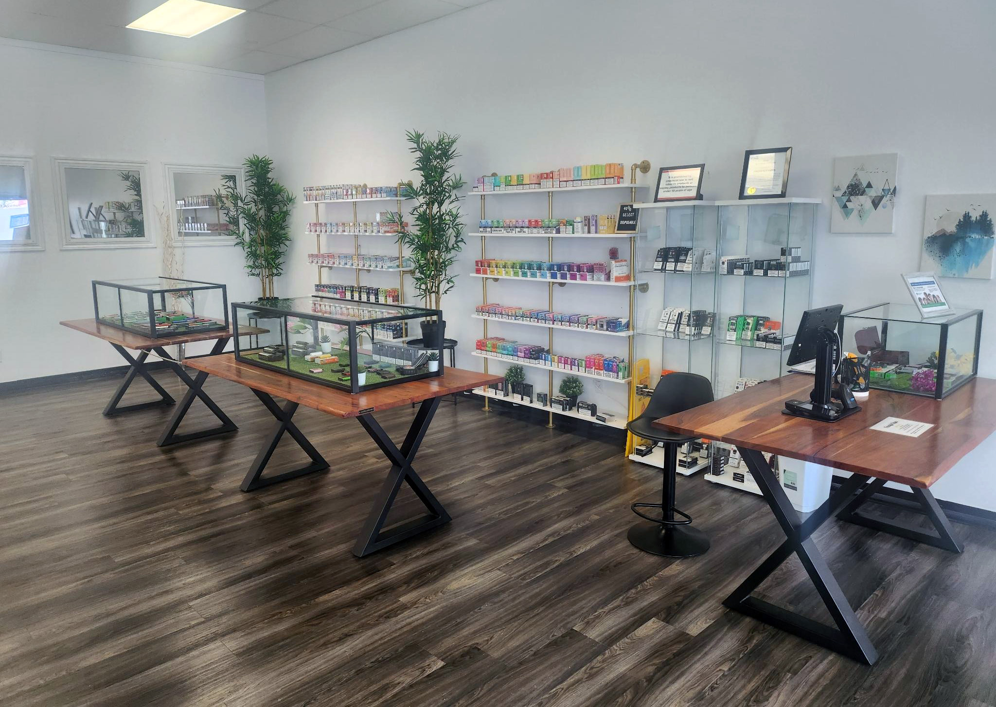FreeStyle Vapes - St Paul - St Paul, AB | Alberta Local
