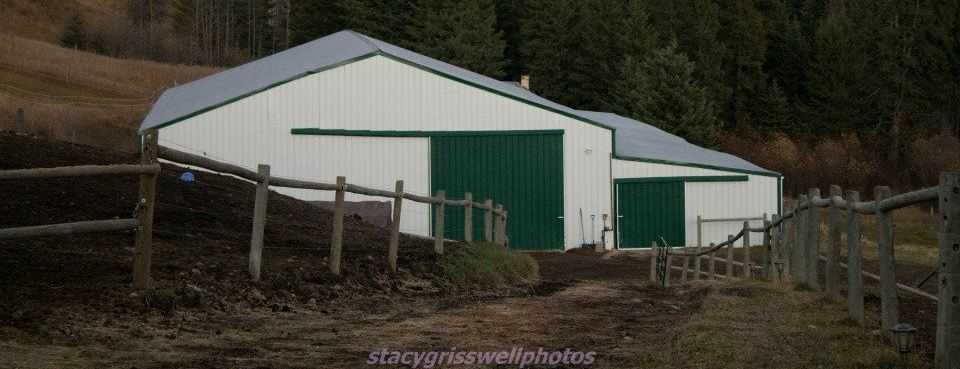 Shadowbrook Stables logo