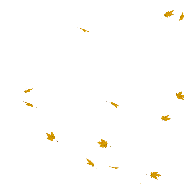 D`S Glass & Film logo