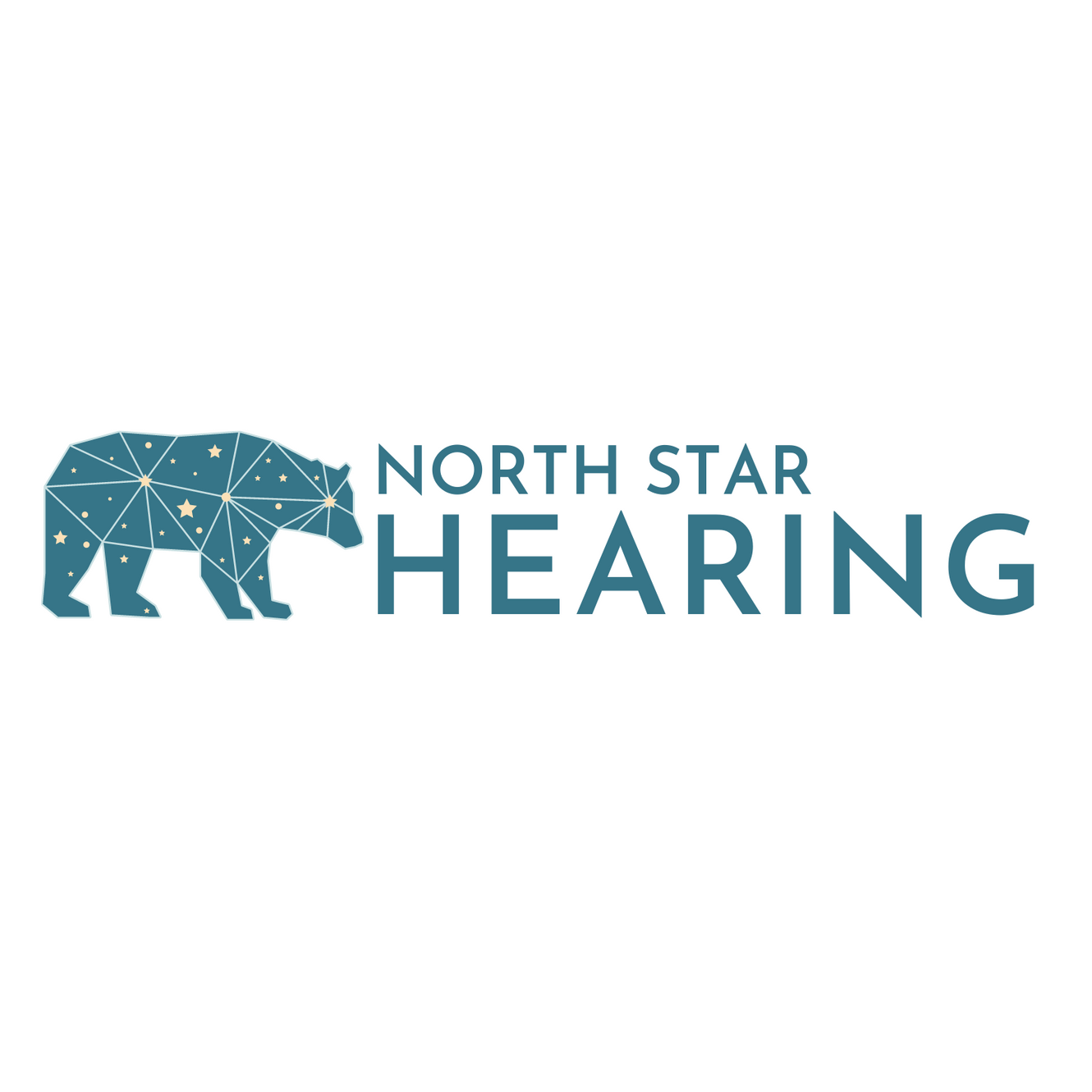 North Star Hearing logo