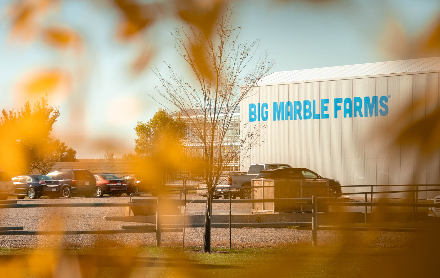 Big Marble Farms logo