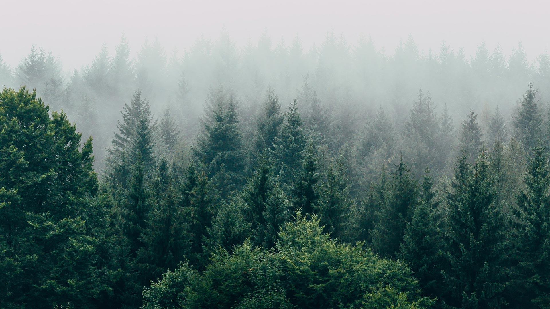 Equinox Therapeutic & Consulting Services logo