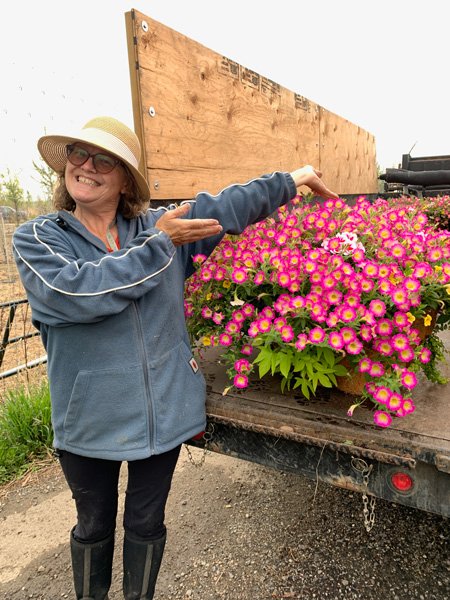 Larchwood Nurseries logo