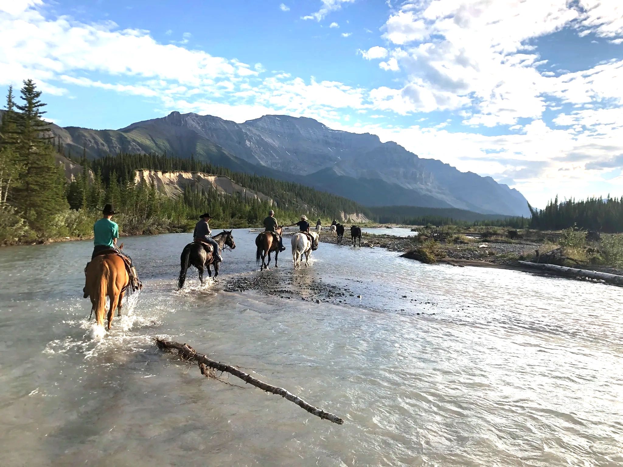 Horsepowered Adventures logo