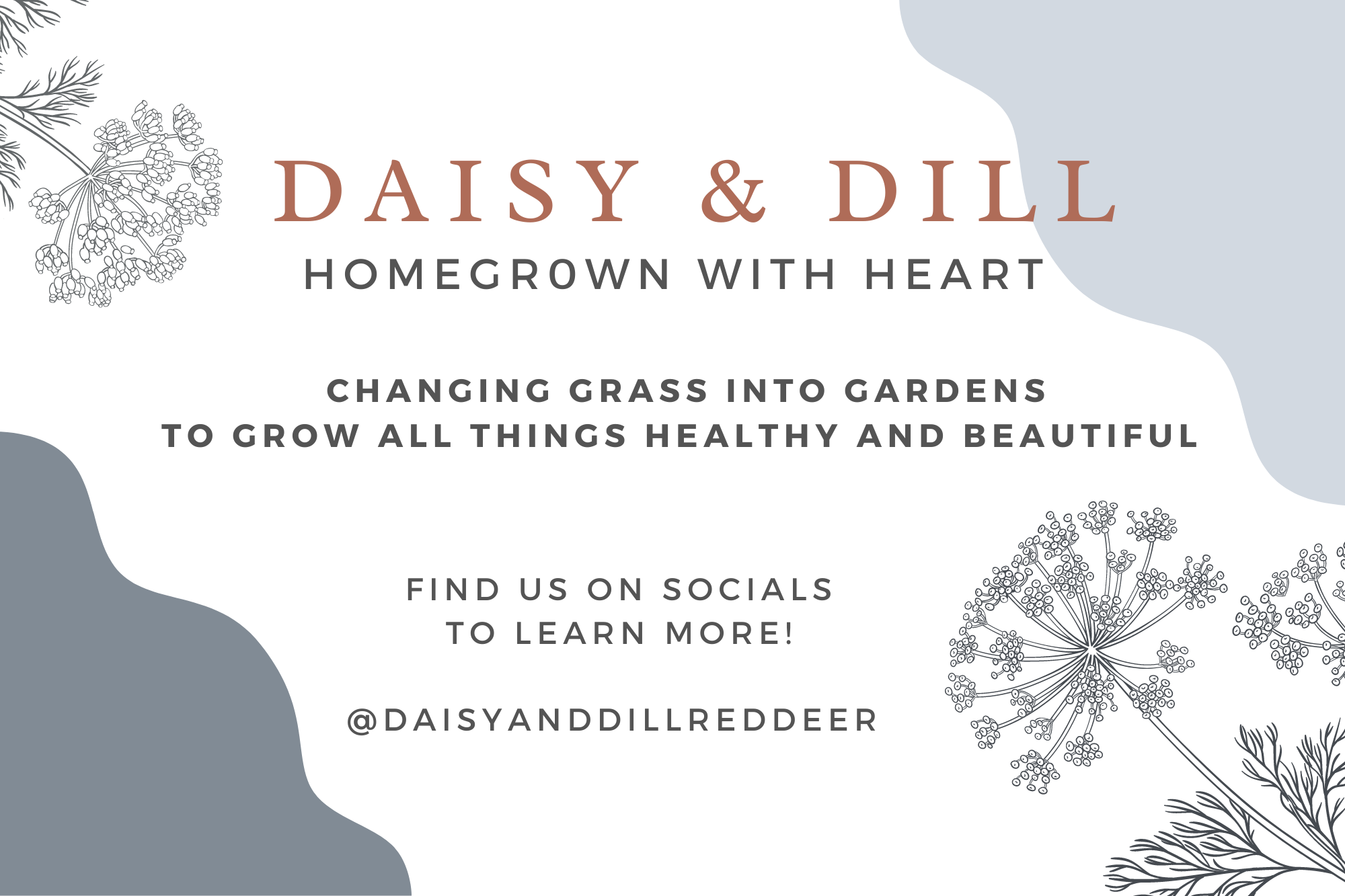 Daisy & Dill red Deer logo