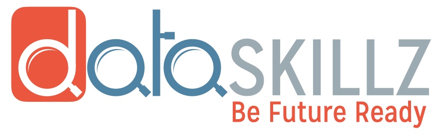 Dataskillz logo