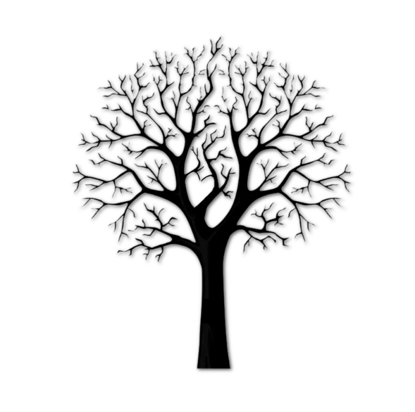 Center Street Psychology logo