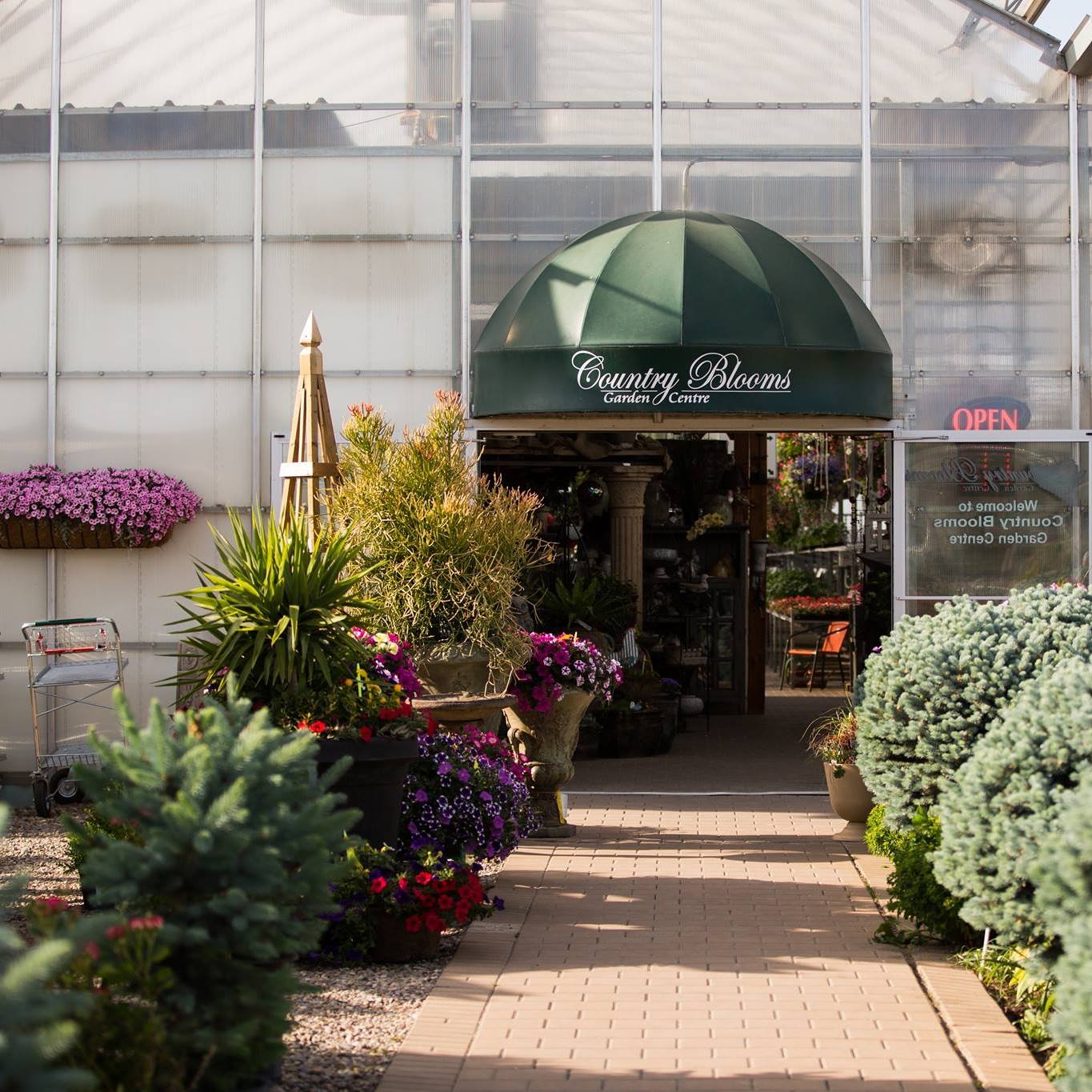 Country Blooms Garden Centre Lethbridge County, AB Alberta Local